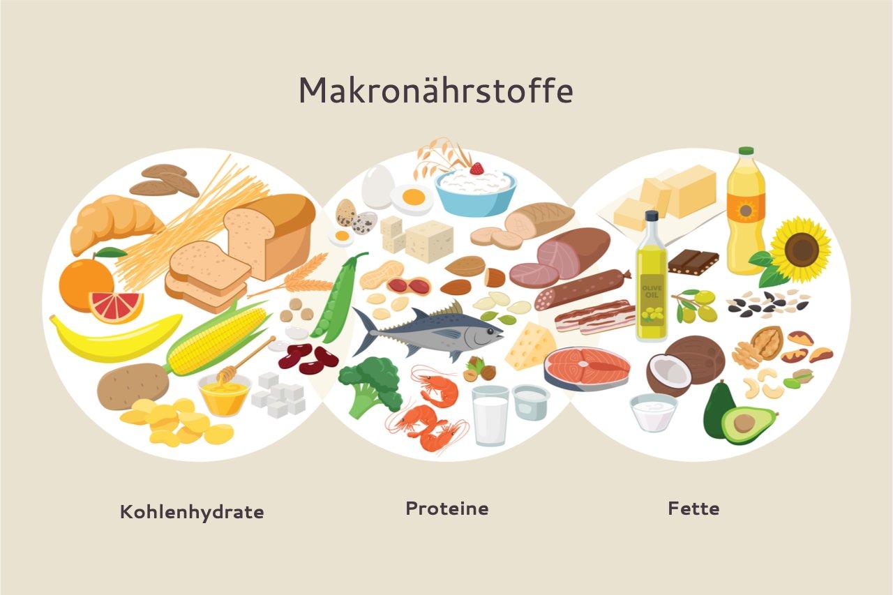 Mavie Work - Ernährungsplan zum Abnehmen 2 - Blog In diesen Lebensmitteln sind Mikronährstoffe enthalten. Shutterstock.com / Bezvershenko