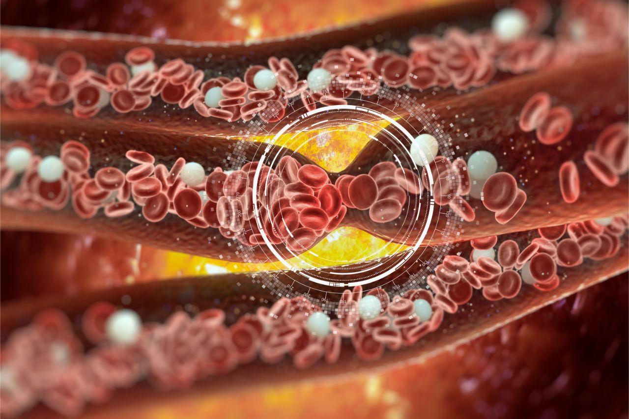 Mavie Work - Vitamin K 2 - Blog Vitamin K ist wichtig für gesunde Knochen und Blut.
Shutterstock.com / vitstudio