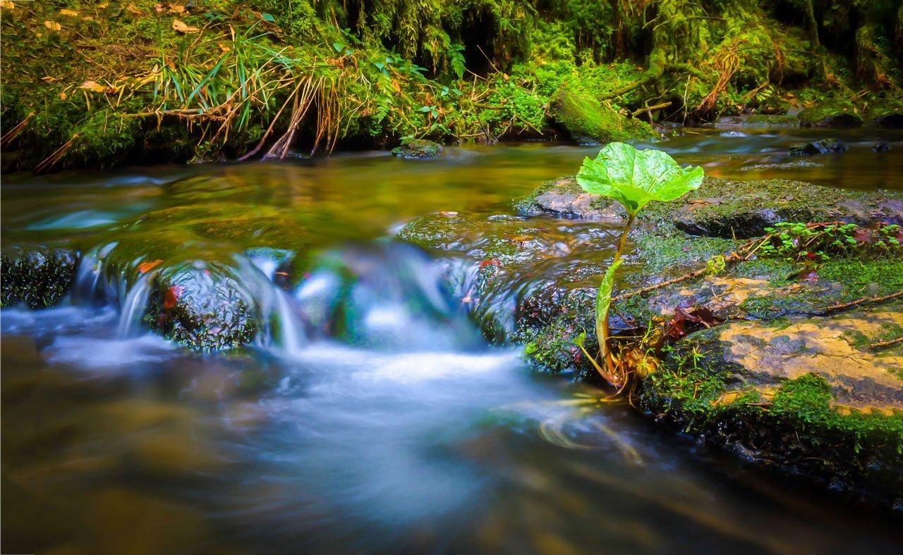 Mavie Work - Salutogenese 3 - Blog Das Leben ist ein Fluss - mit dieser Metapher beschreibt Antonovsky das Leben in seinem Salutogense Modell. Shutterstock.com / Nikola S
