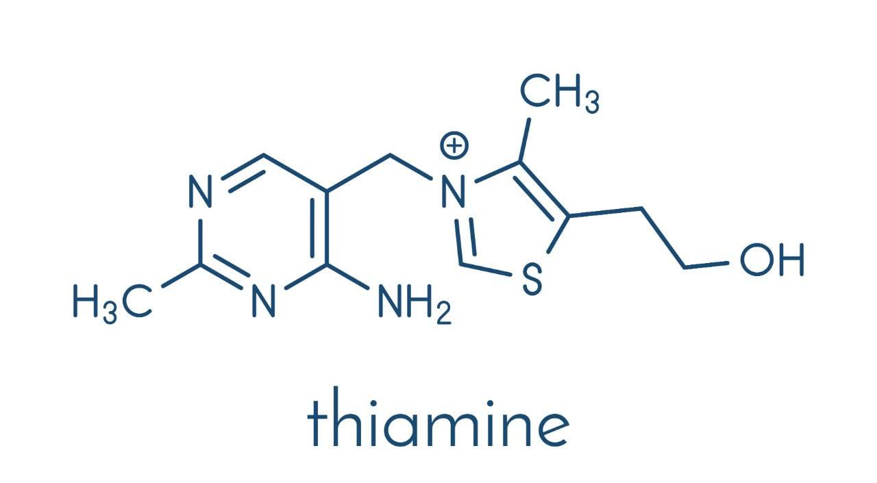Mavie Work - Vitamin B1 3 - Blog Vitamin B1 ist wichtig für den Energiehaushalt. Shutterstock.com / molekuul_be