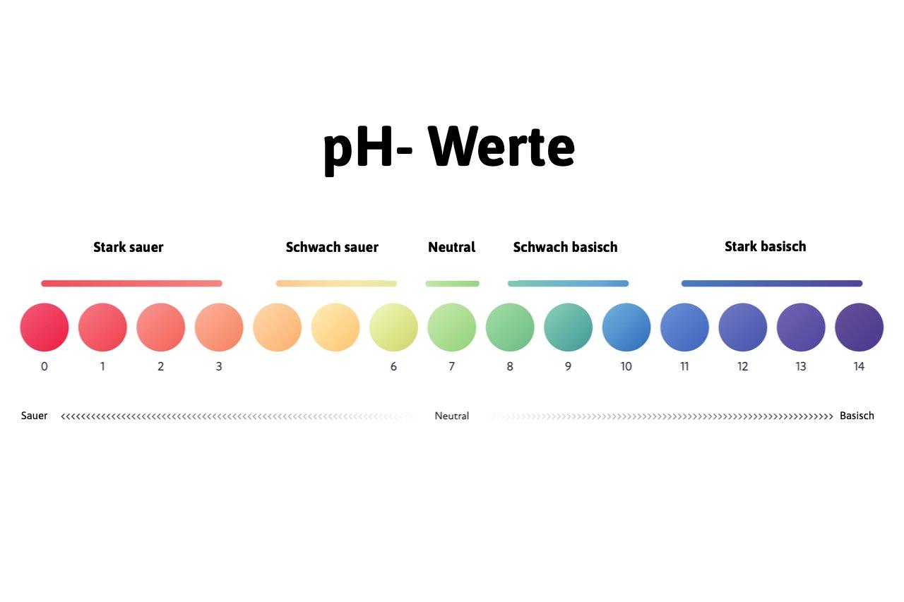 Mavie Work - Basenfasten 2 - Blog Das ist die pH Skala von 0 bis 14. Werte unter 7 sind sauer und ab 7 sind sie basisch.
Tasty_Cat/ Shutterstock.com