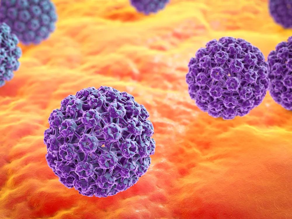Mavie Work - HVP Schnelltest 2 - Blog HPV ist ein Virus, der bei Sexualkontakten übertragen werden kann. Shutterstock.com / Kateryna Kon