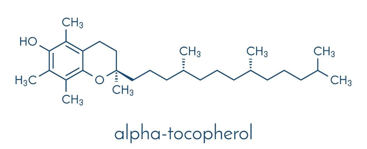 Mavie Work - Vitamin E 2 - Blog Tocopherol wirkt als Radikalfänger
Shutterstock.com / molekuul_be